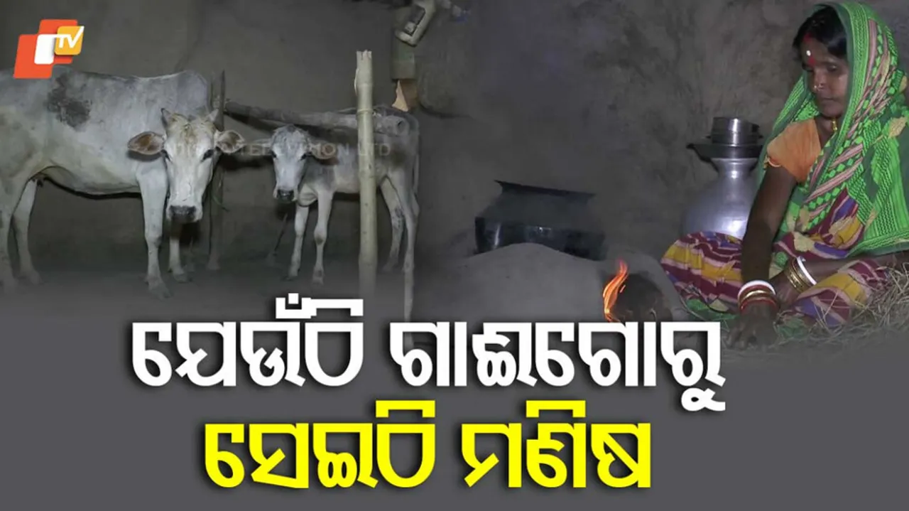 ମିଳୁନି ଆବାସ