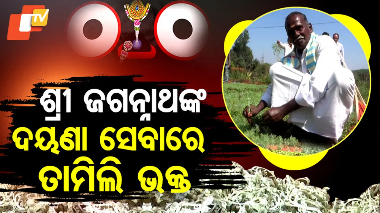 Tamilians Show Devotion In Lord Jagannath Service