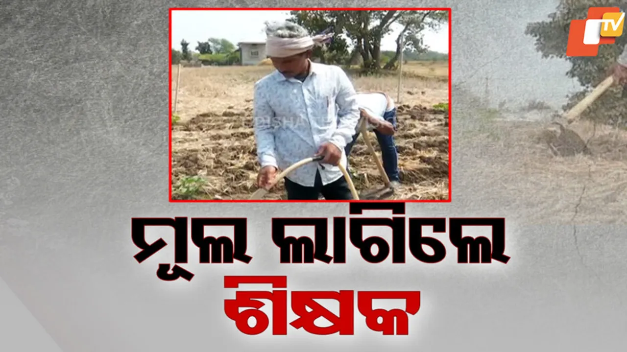 Teacher Protest For Salary