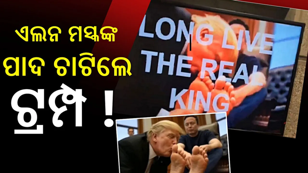 Trump-Elon Musk AI video