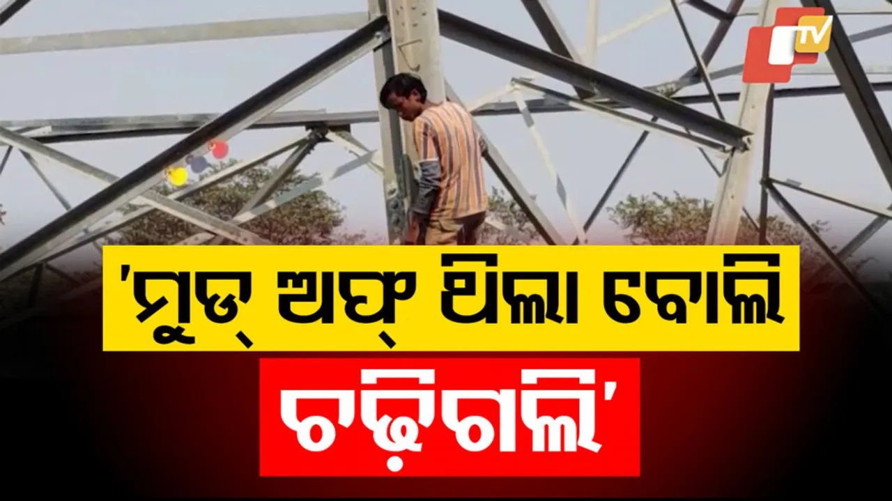 Youth Climbs Atop Electric Tower 