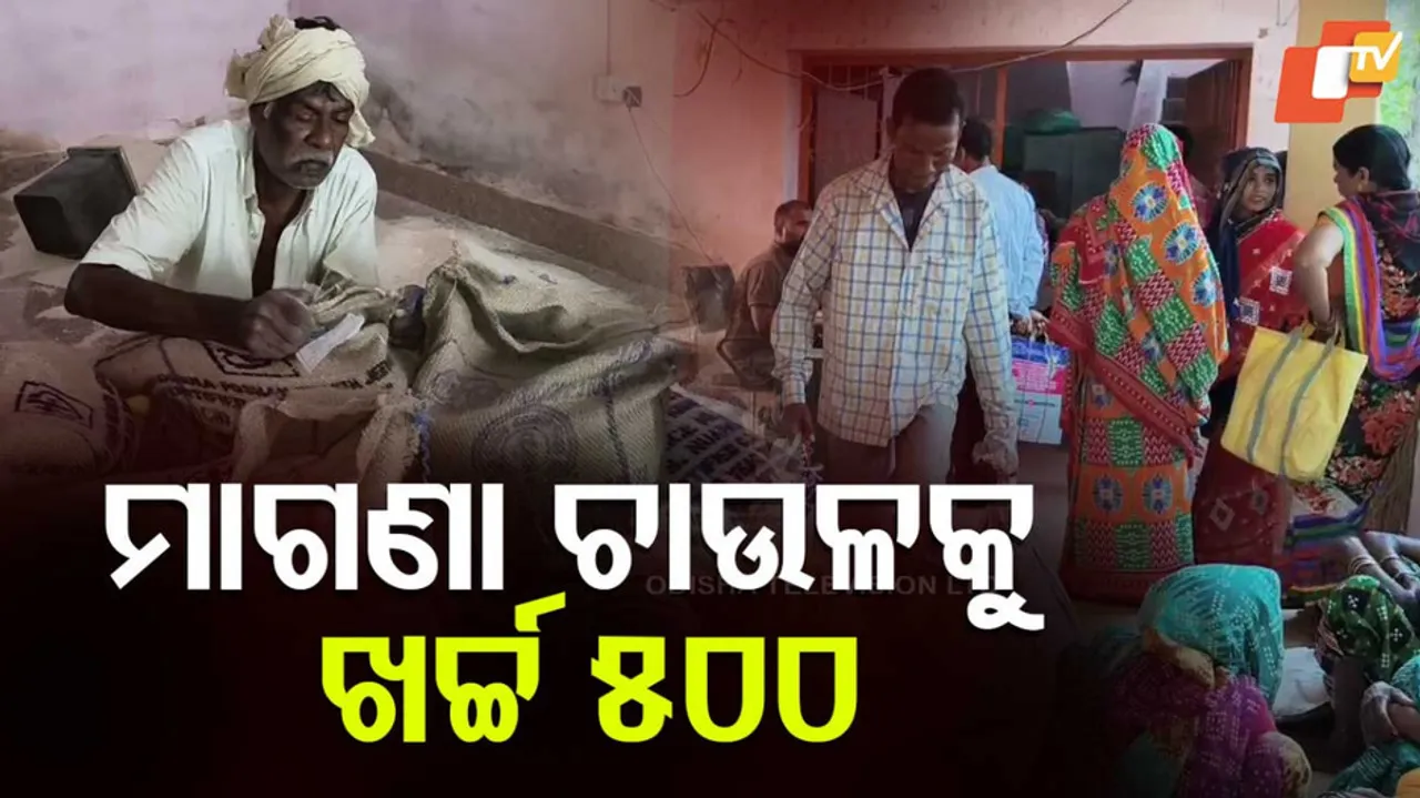 ପାହାଡ଼ ଚଢିଲେ ମିଳୁଛି ଚାଉଳ