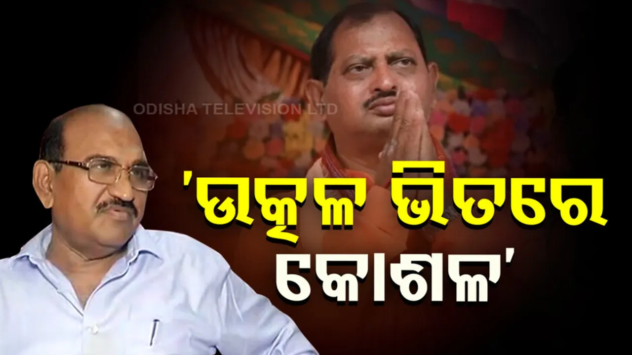 BJP Says, Remark Personal