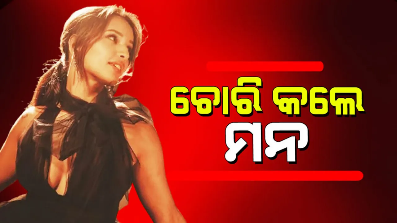 Triptii Dimri: ଡିପ୍‌ନେକ୍ ନେଟ୍ ଗାଉନରେ ତୃପ୍ତି ଡିମ୍‌ରୀଙ୍କ ଜଲ୍‌ୱା