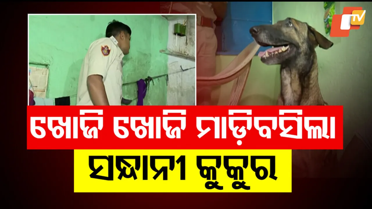  Illegal Liquor and Ganja Racket