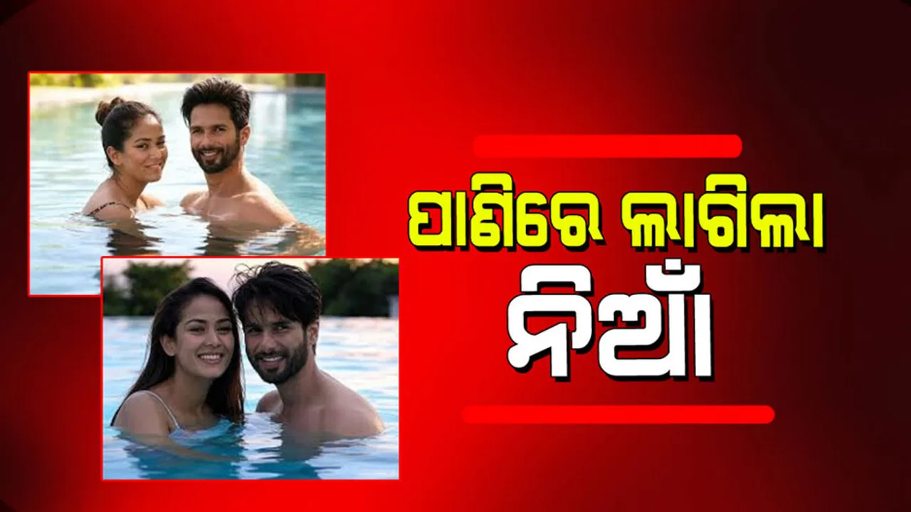 Shahid kapoor gets romantic with wife mira rajput in pool