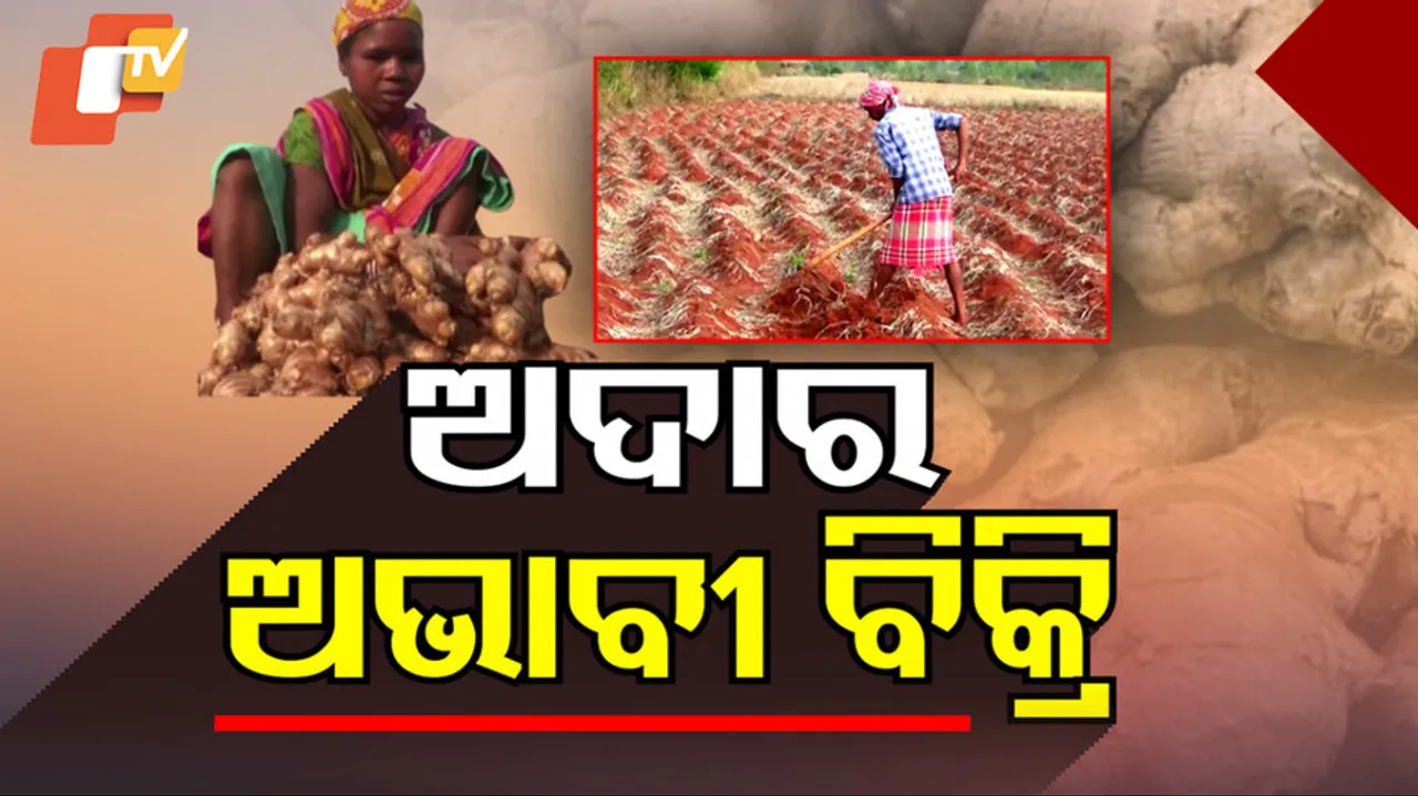 ଅଦାର ଅଭାବୀ ବିକ୍ରି