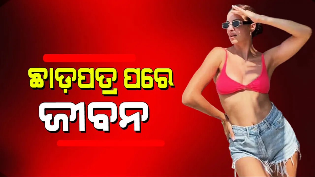 Natasa stankovic living lavish life after divorced