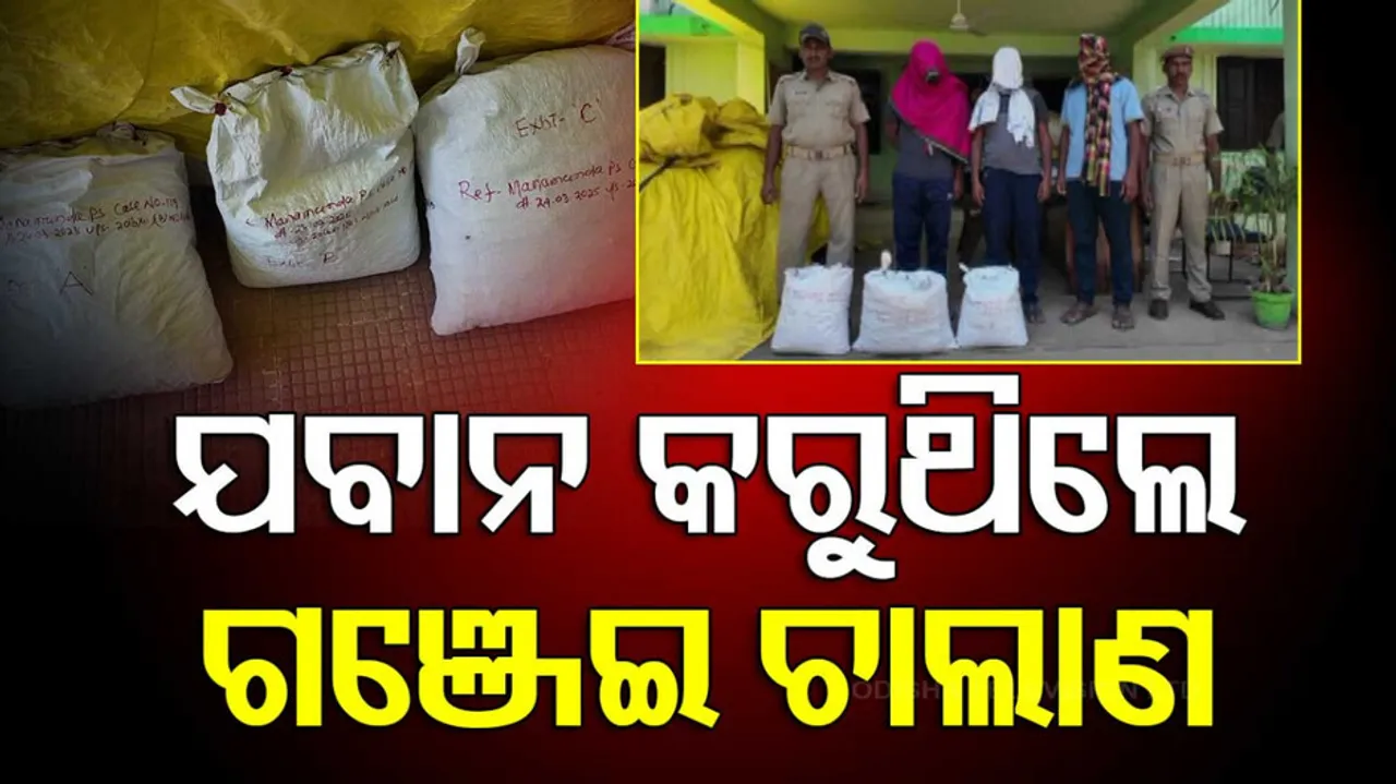 ଗଂଜେଇ ଚାଲାଣ