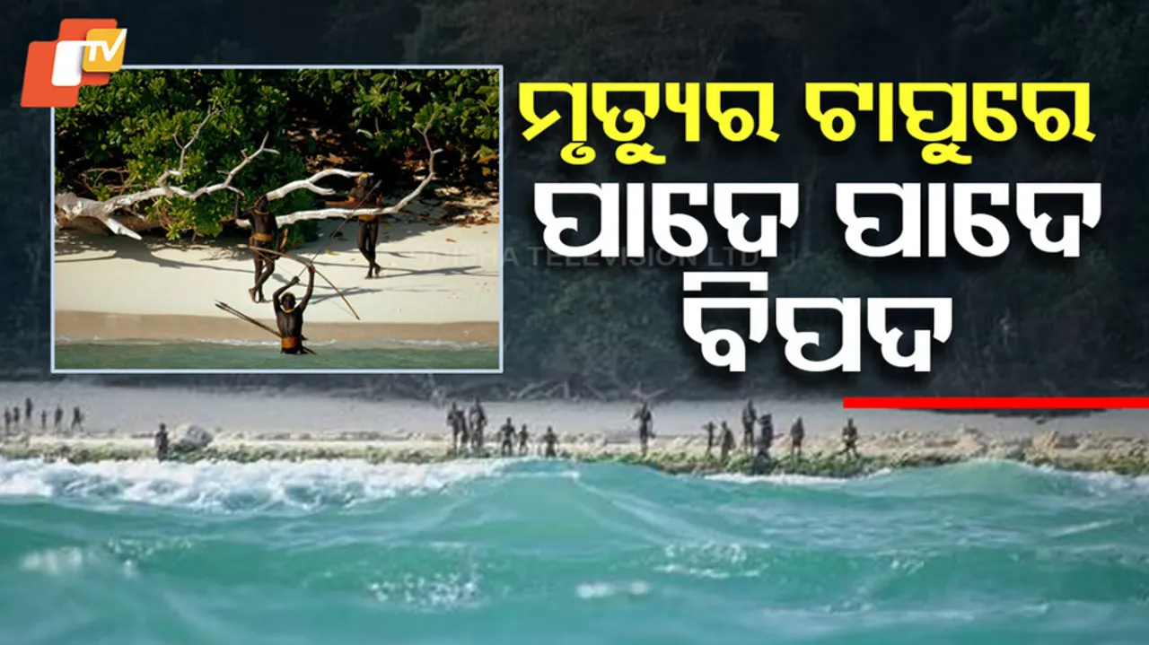 Sentinel Island Tribe