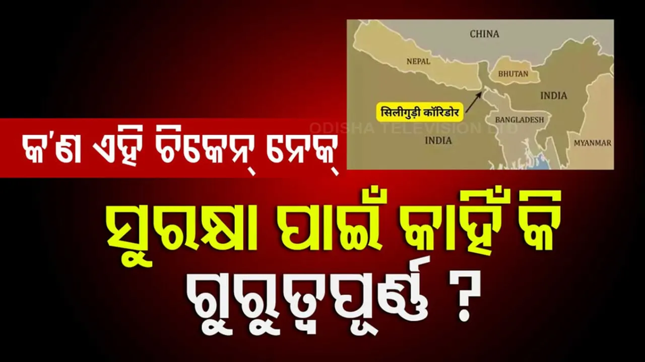 କ’ଣ ଏହି ଚିକେନ୍ ନେକ୍