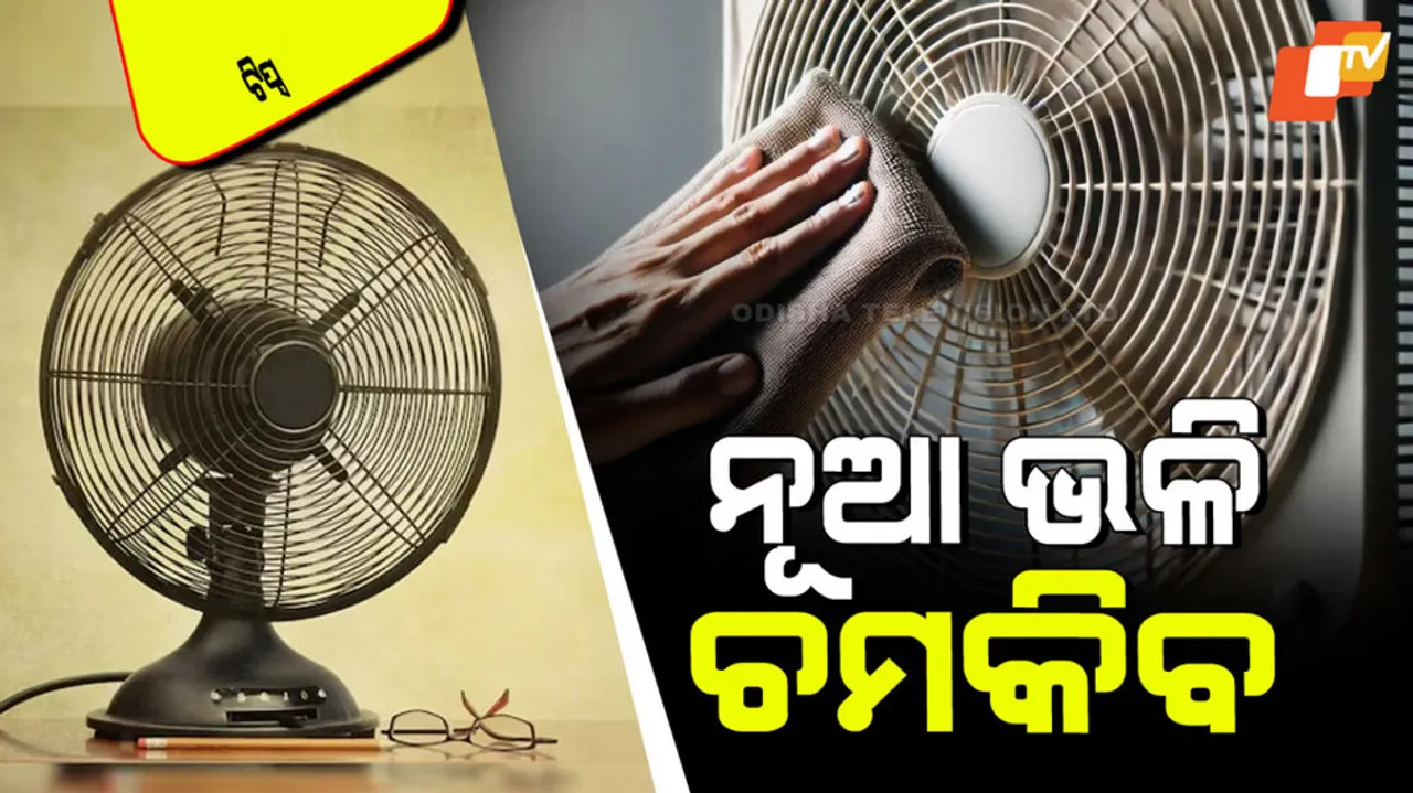 Follow these easy methods to clean the table fan
