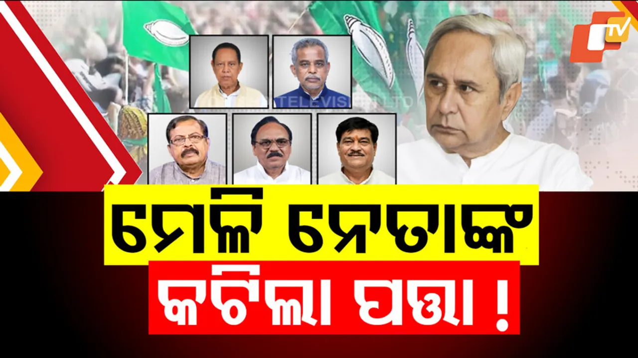 ମେଳି ନେତାଙ୍କ କଟିଲା ପତ୍ତା !