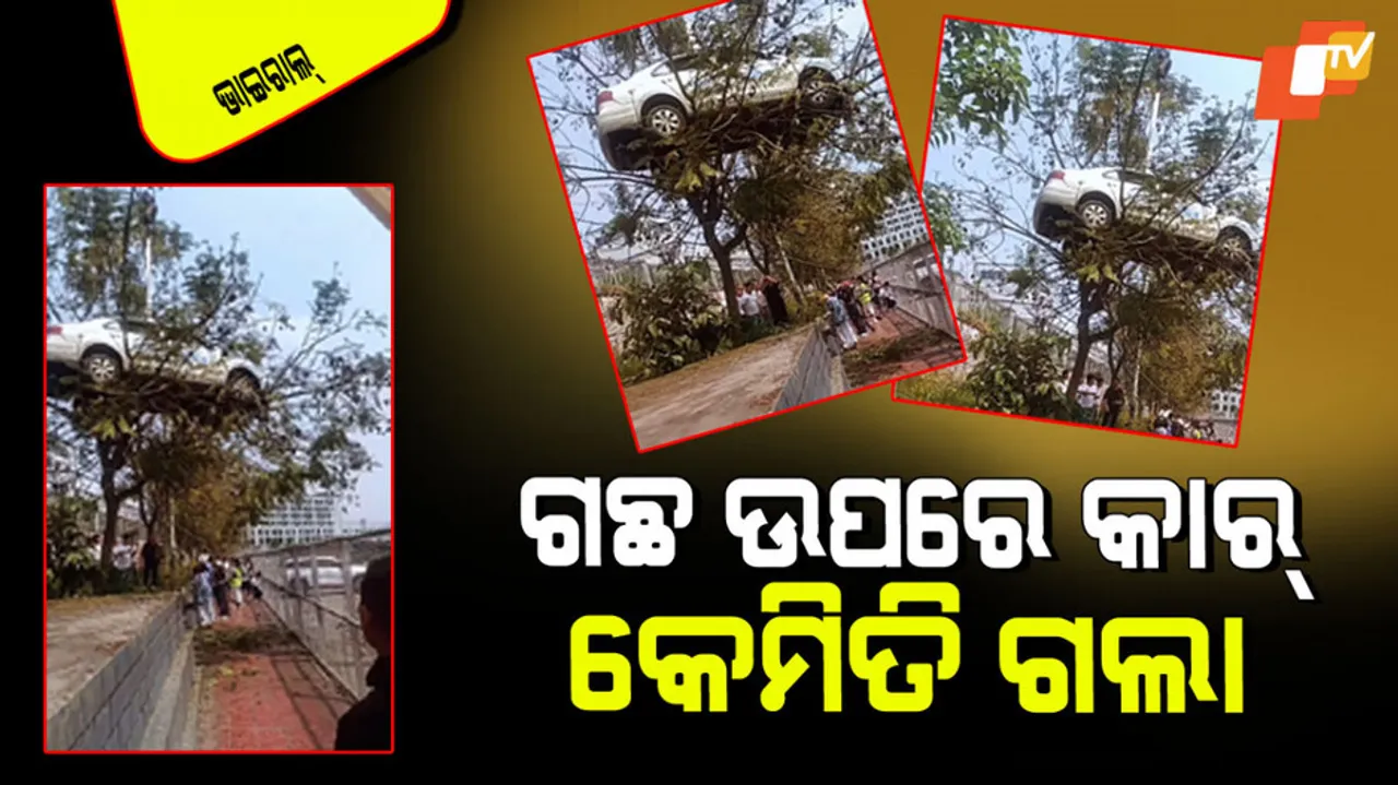 Car landed on tree people shocked to see this