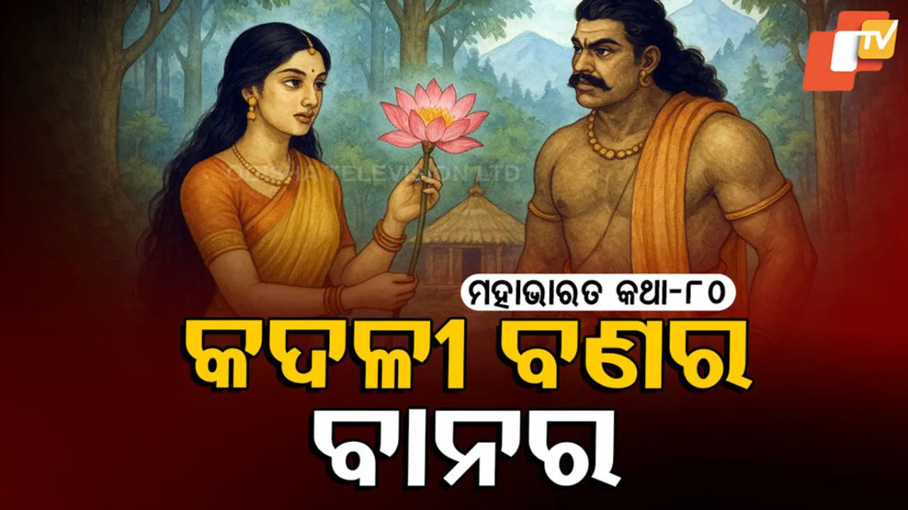 ମହାଭାରତ କଥା