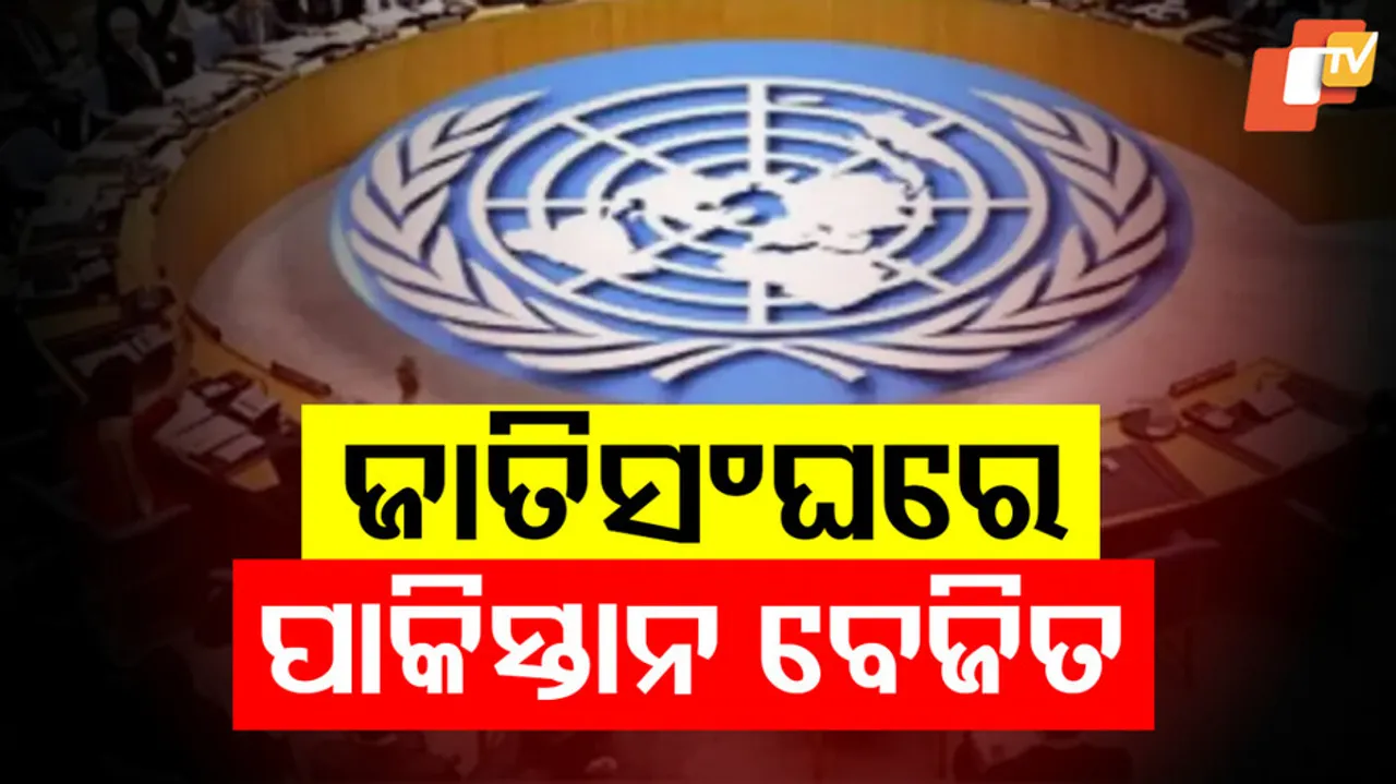 Pakistan At UNSC Meet