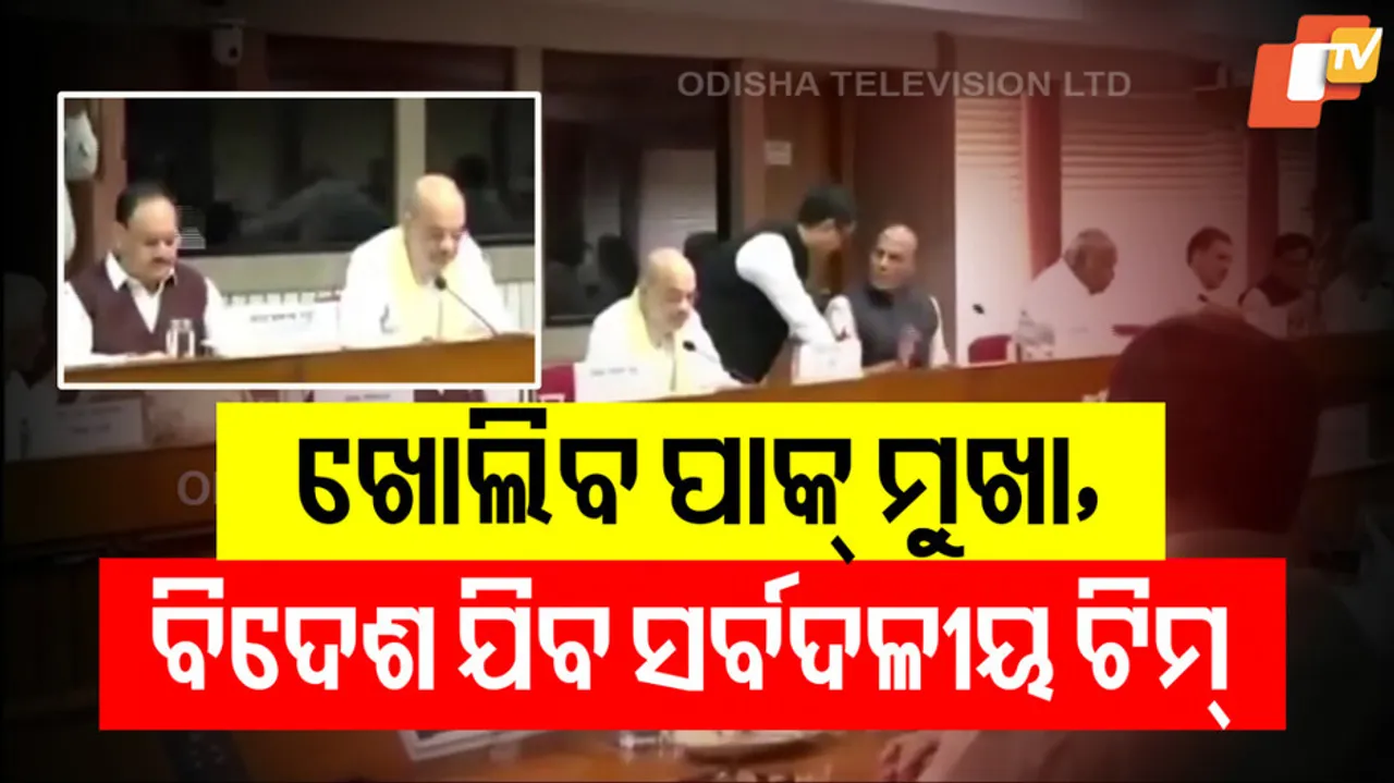 All-Party Delegations