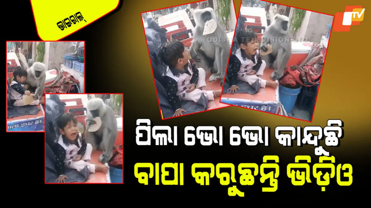 Father makes reels as boy cries after monkey snatches food from his hands