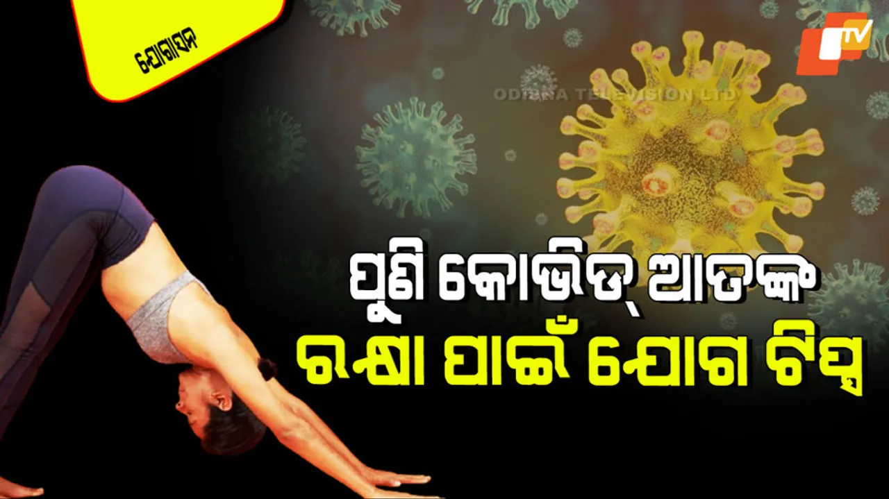 Yoga asanas for covid 19 new variant