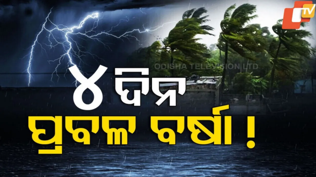 Rain forecast