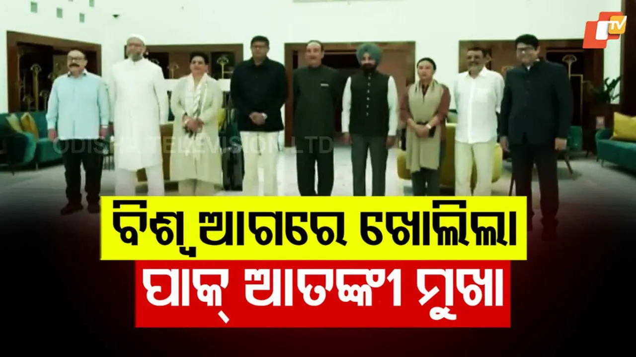 Baijayant Panda-led delegation
