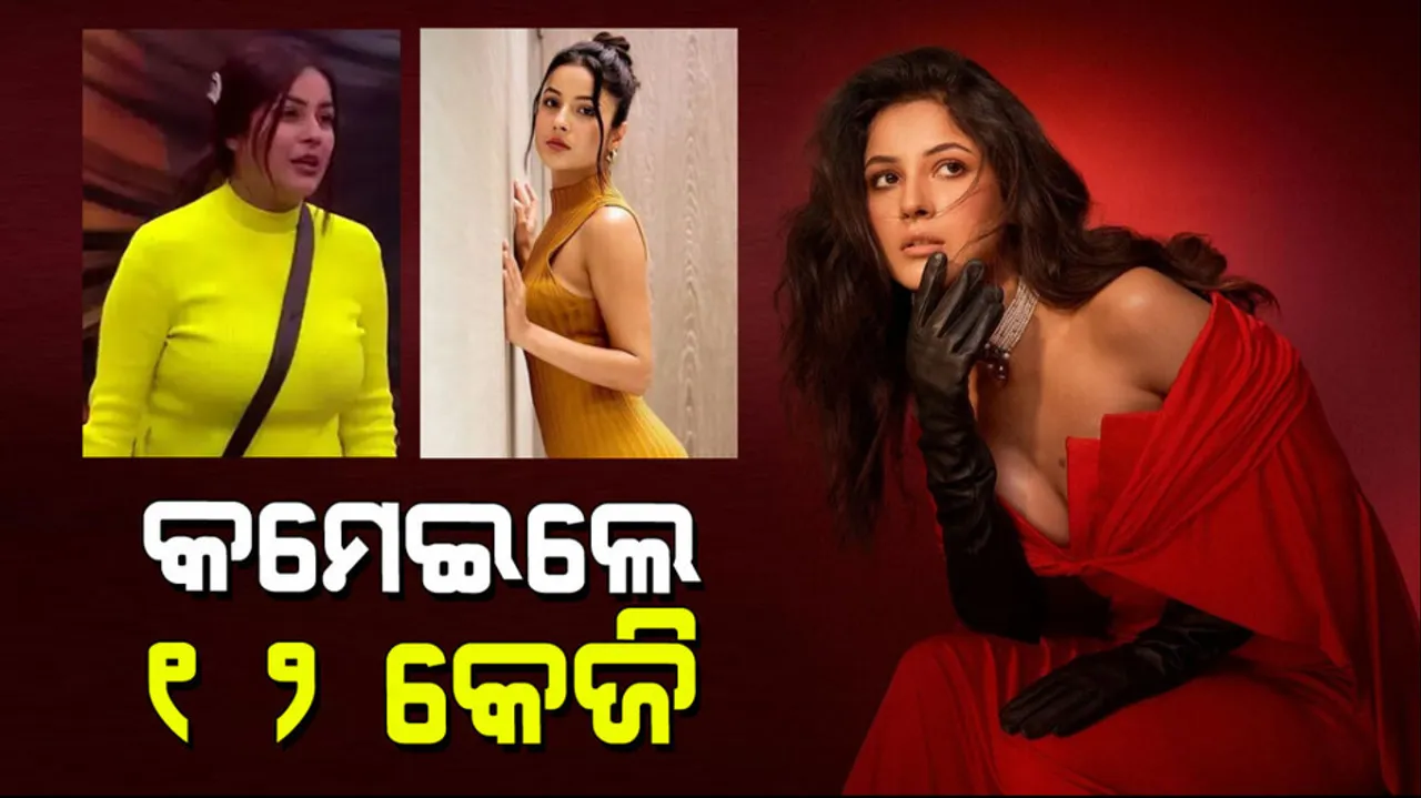 Shehnaaz Gill lose 12 kgs in 6 months know her diet plan