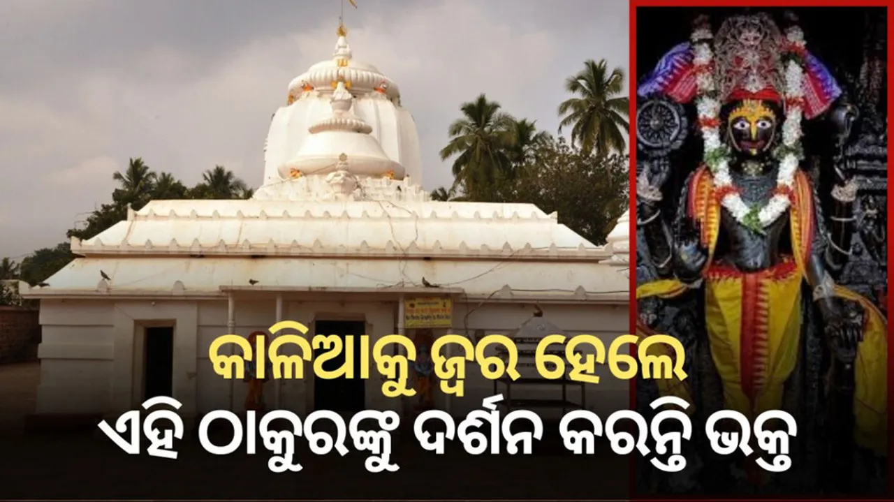 myth behind worship of lord alaranath of brahmagiri during jagannath anasara