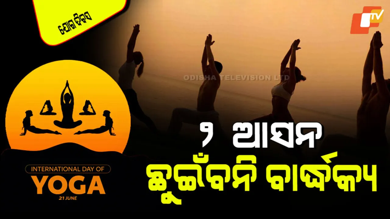 International Yoga Day 2025 