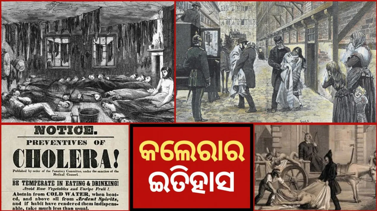 brief history of cholera pandemic in world