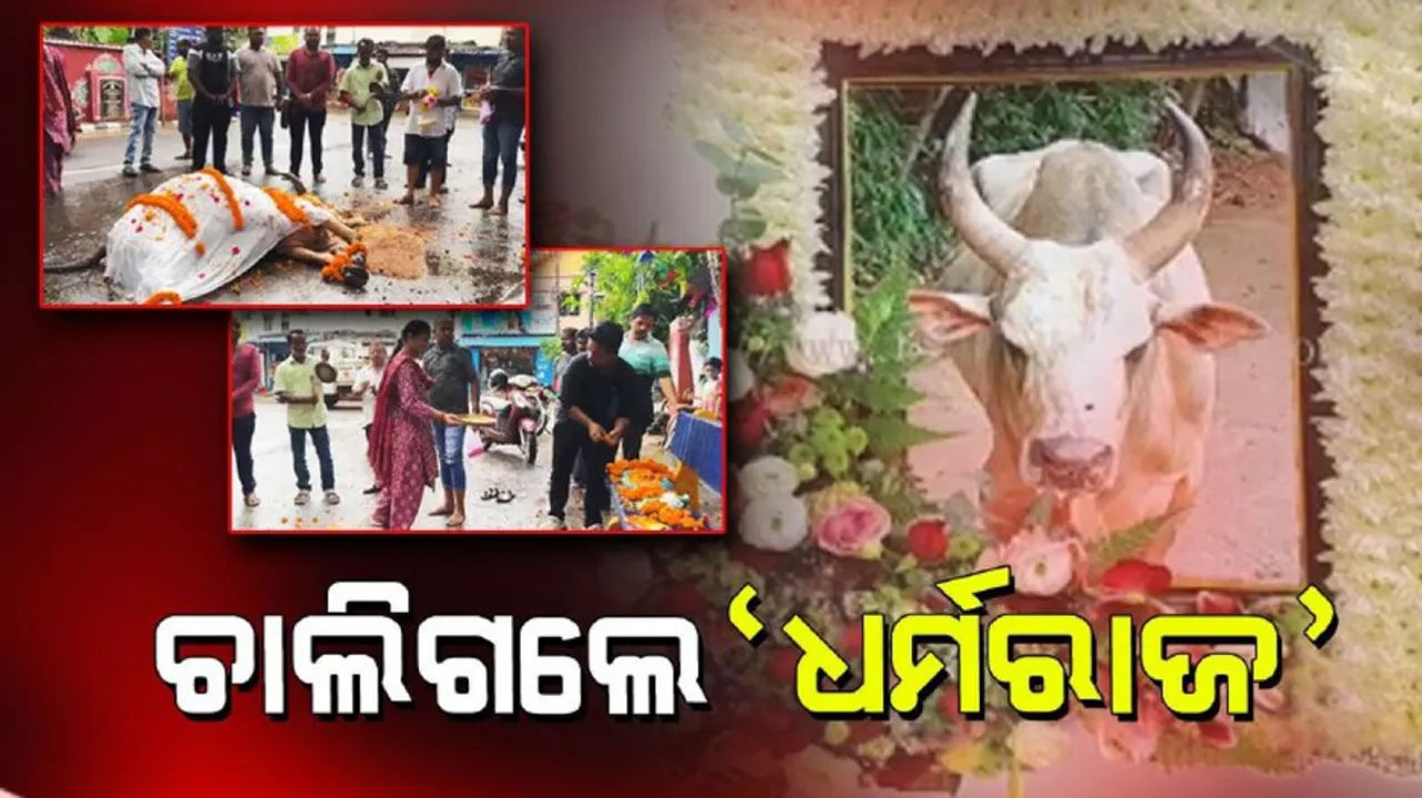 ଚାଲିଗଲେ ଧର୍ମରାଜ