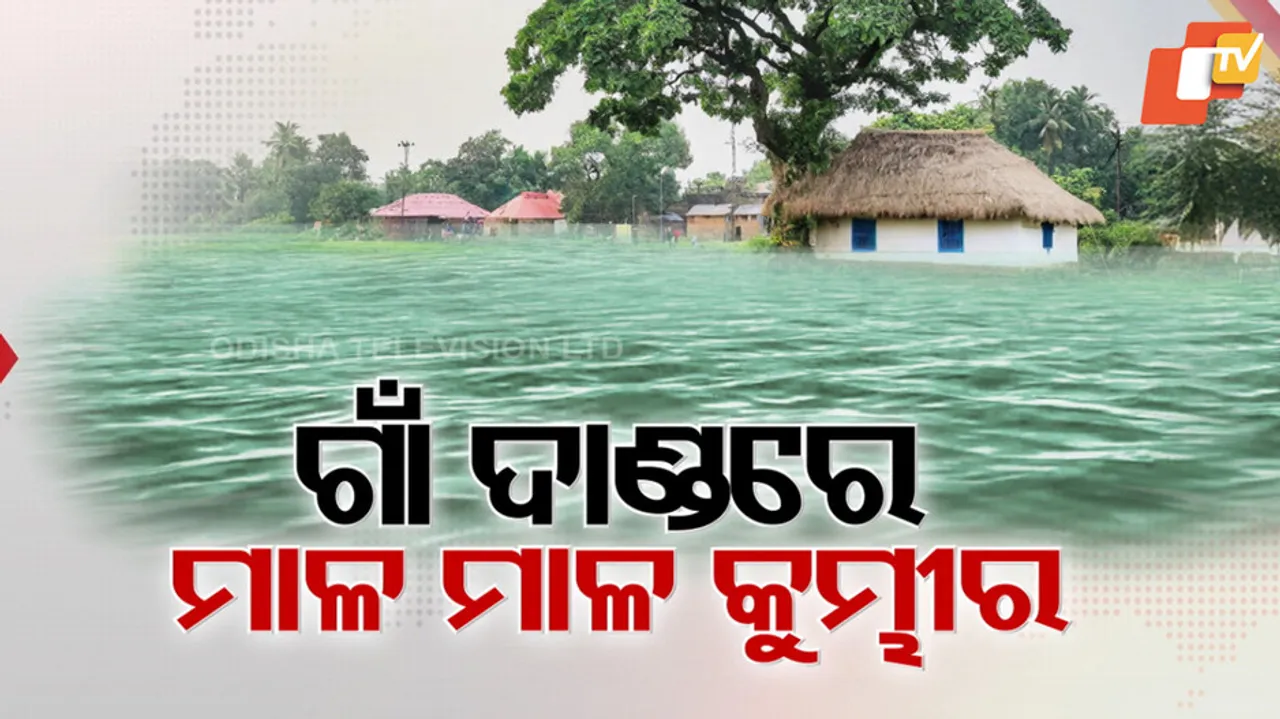 ଗାଁ ଦାଣ୍ଡରେ ଖେଳୁଛି କୁମ୍ଭୀର