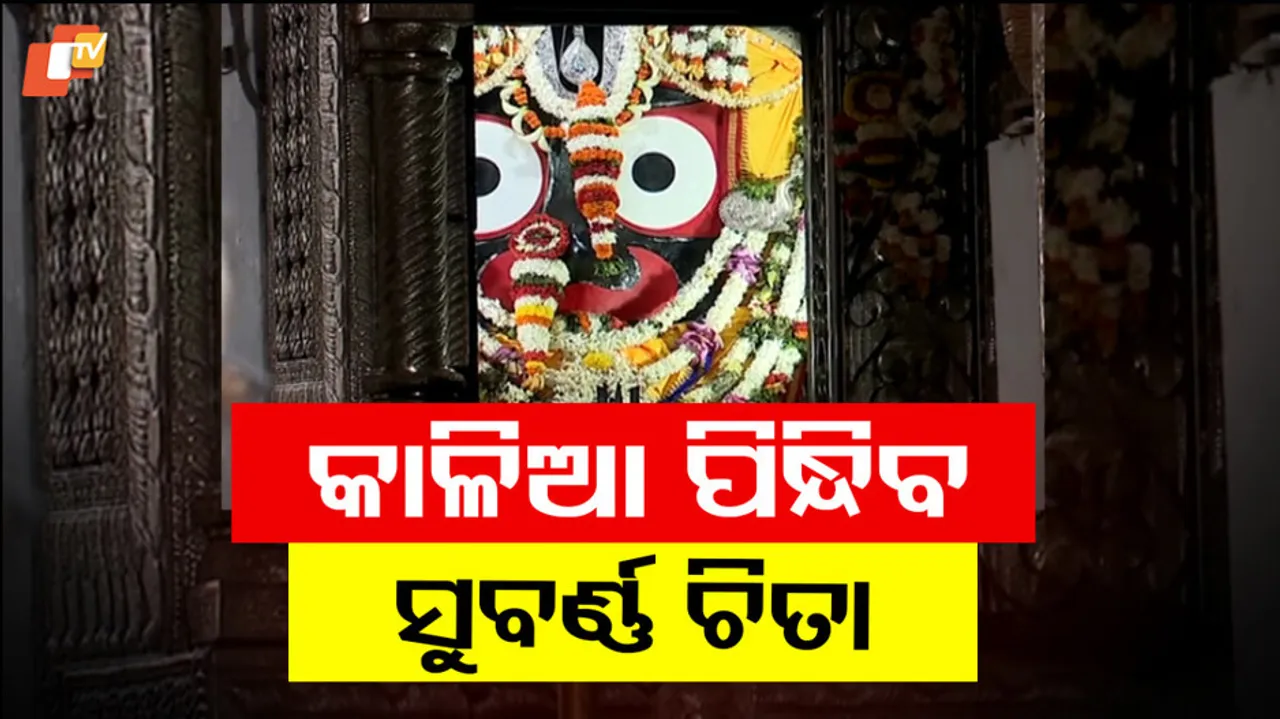 Jay Jagannath