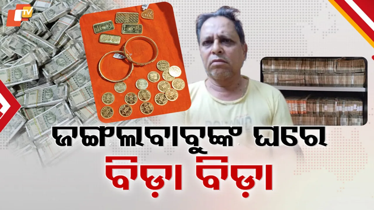 Forest Ranger’s Hidden Cash and Gold Sting