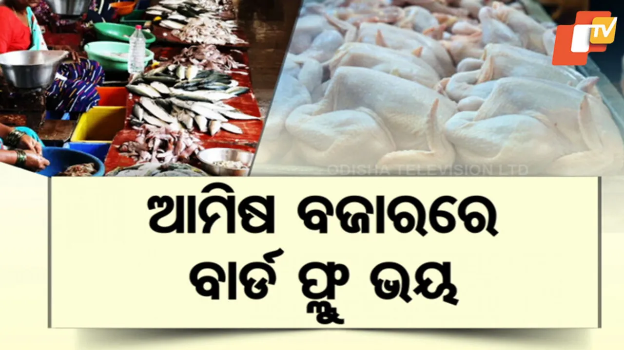 ଆମିଷ ବଜାରରେ ବାର୍ଡ ଫ୍ଲୁ ଭୟ