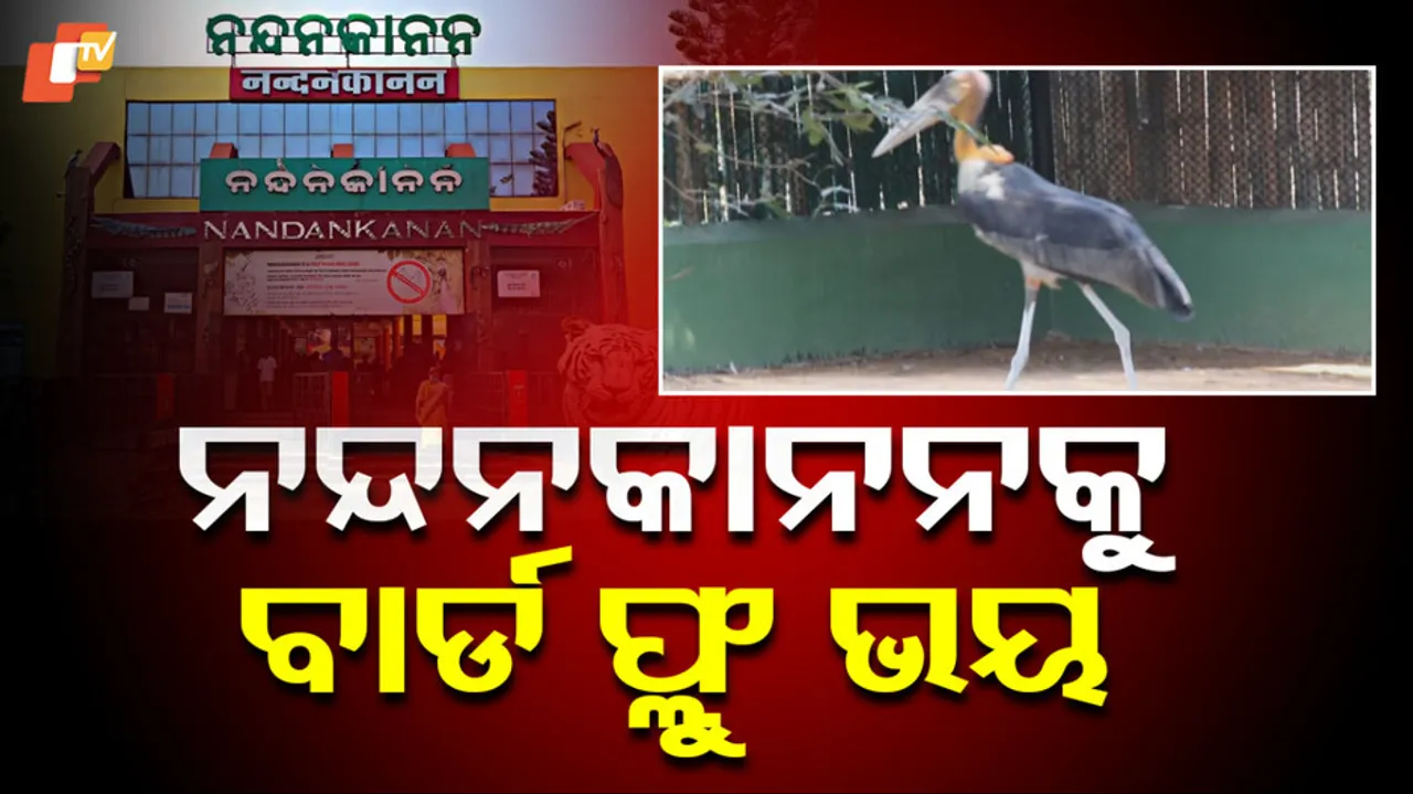 Bird Flu Scare at Nandankanan