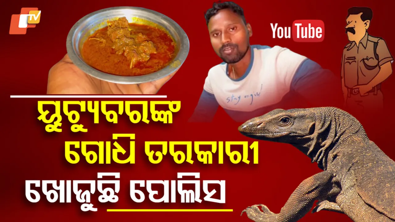 Baripada-Godhi-Curry