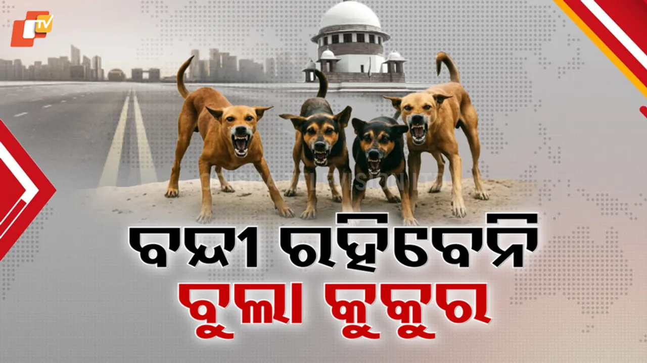 Supreme Court on Stray Dogs