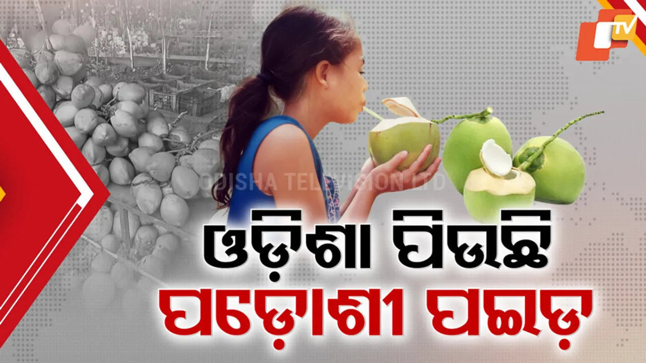 Odisha Coconut Market