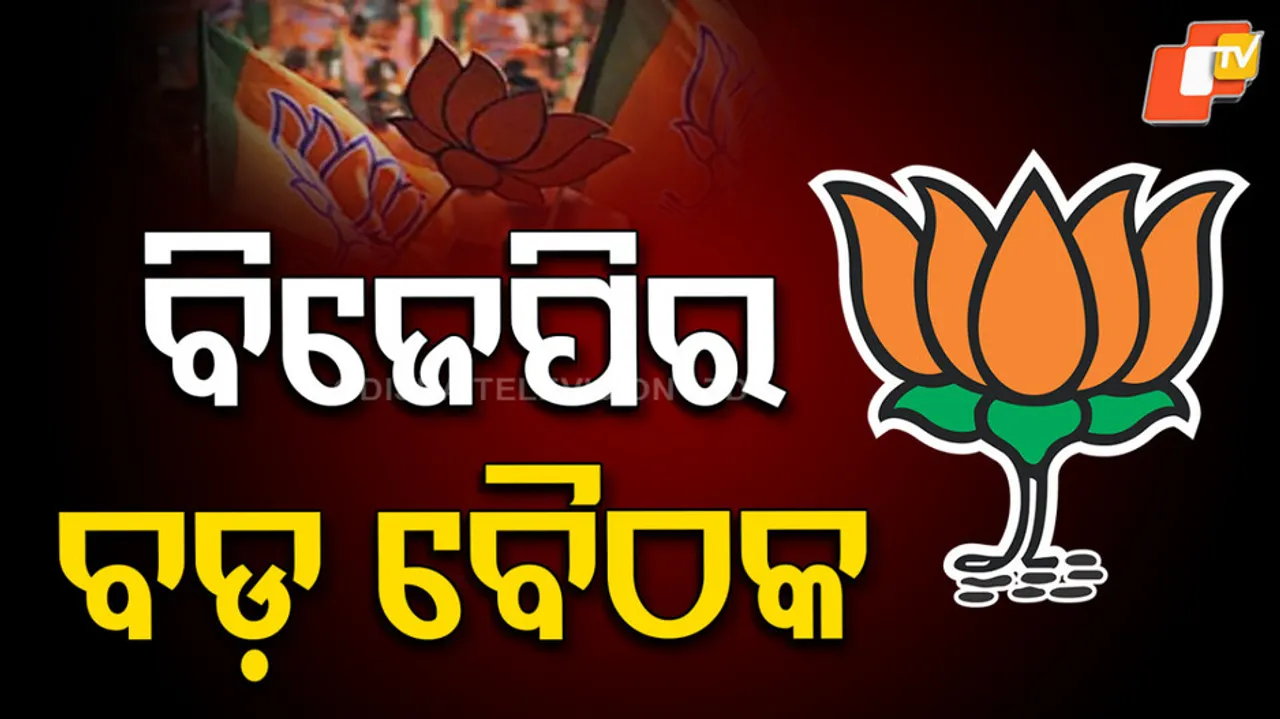 BJP Leaders Meet In Delhi