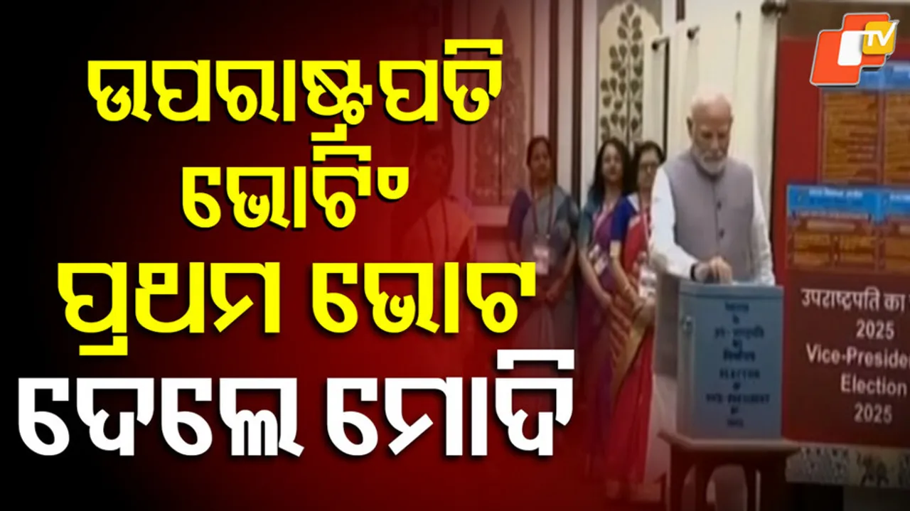 Vice presidential election