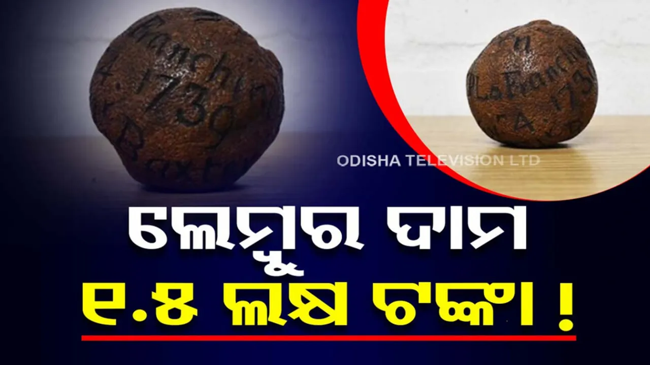 worlds most coustly expensive lemon