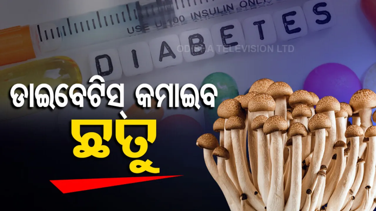 Mushrooms Health Benefits