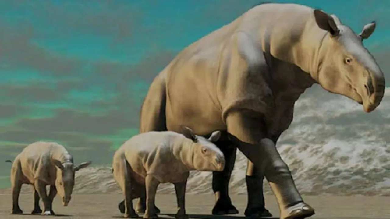 ଡାଇନୋସର୍ ଠାରୁ ବି ବିଶାଳ ଜୀବ ପୃଥିବୀରେ ଥିଲେ!