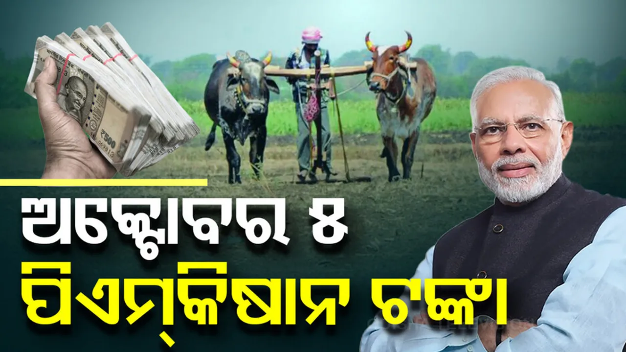 PM Kisan Yojana 18th Installment: How to check status