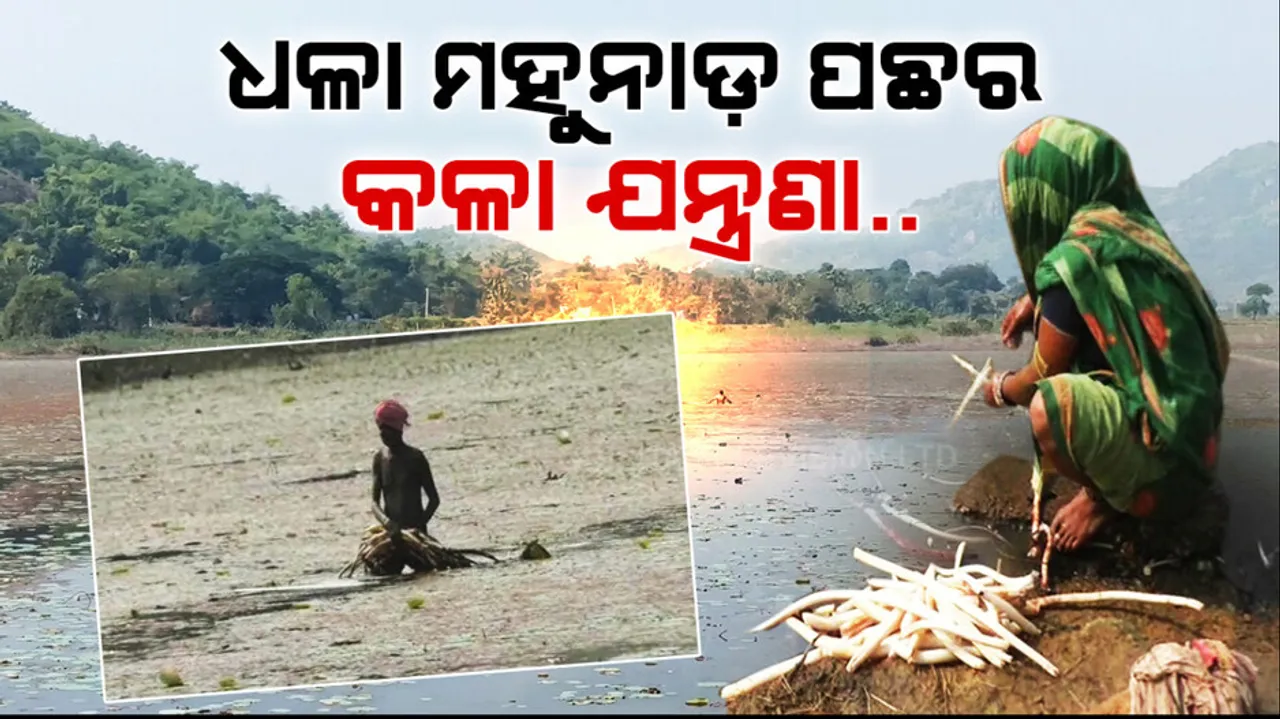 Padmanada