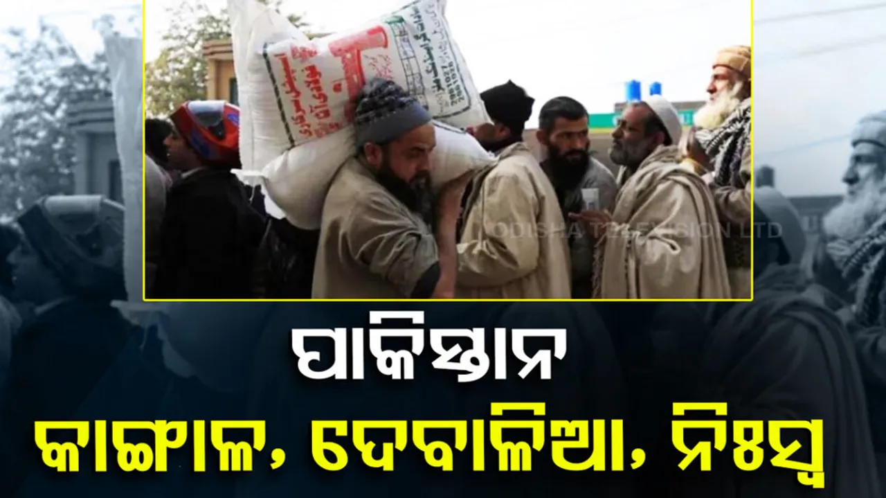 Pakistan Wheat Flour Crisis