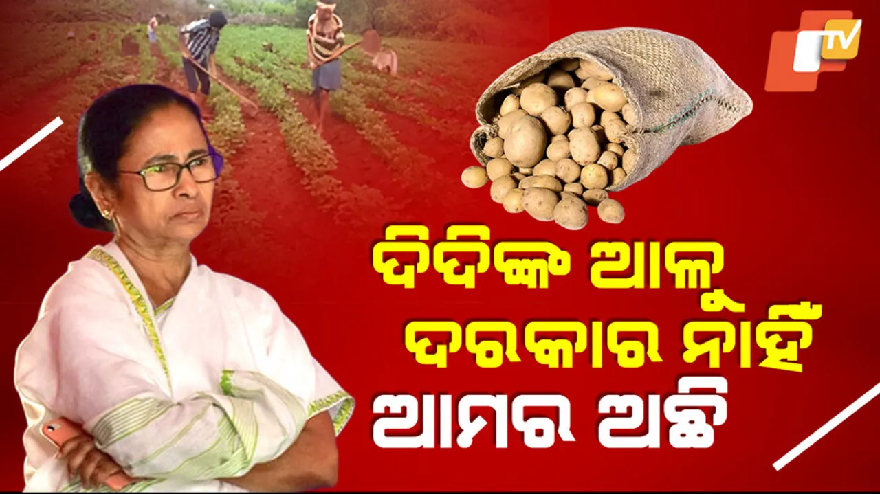Koraput Farmers Gear Up to Save Odisha from Potato Crisis