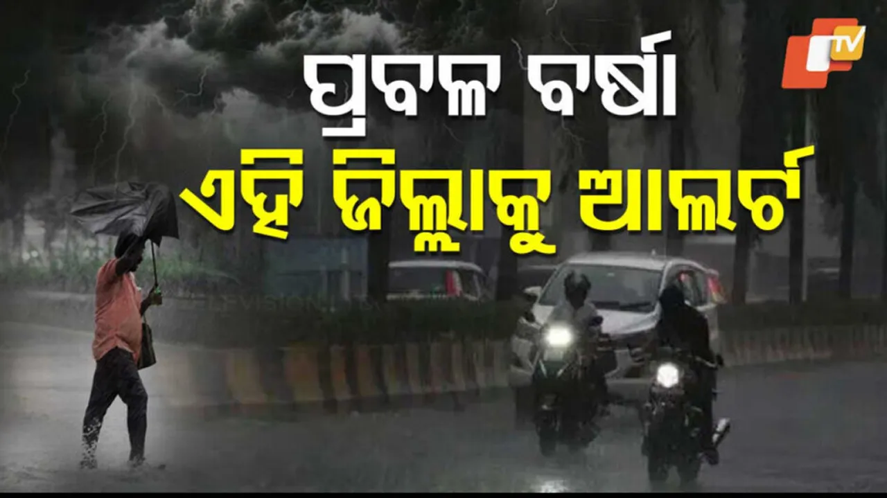 Rain