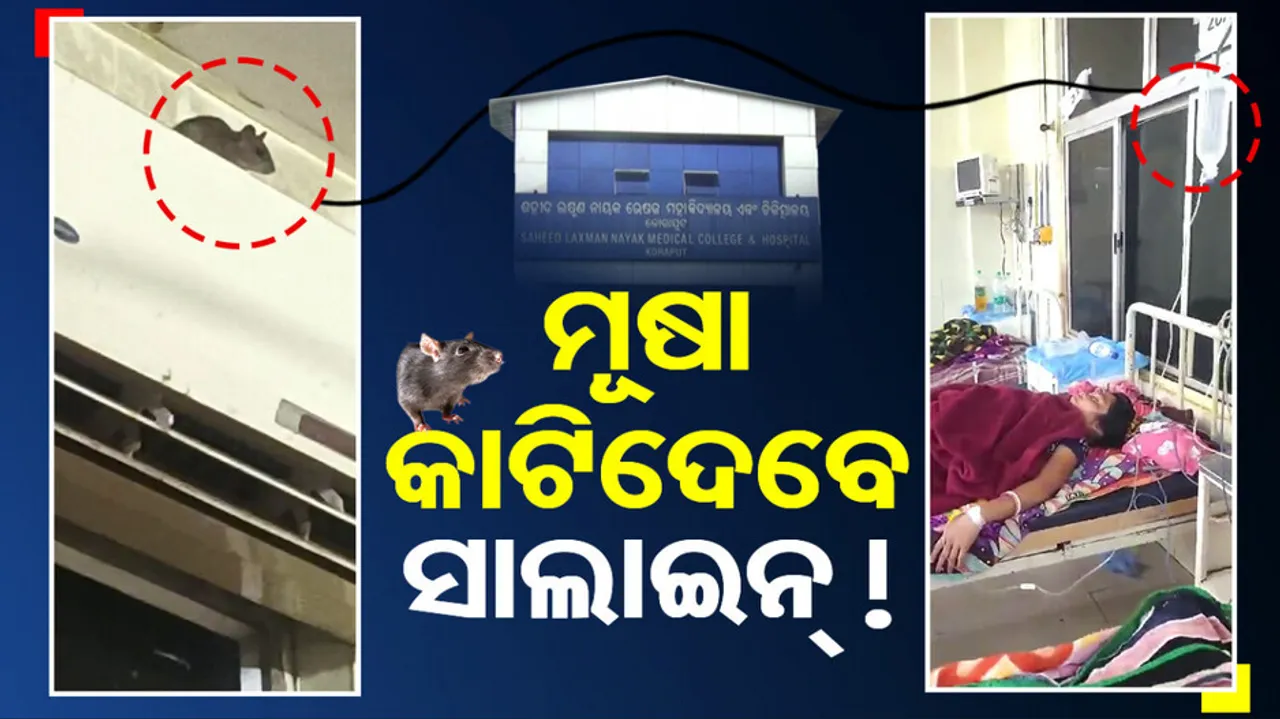 Rat Menace at Saheed Laxman Nayak Medical College and Hospital In Koraput