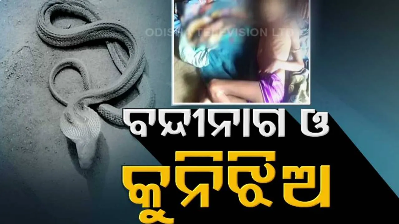 ସାପ କାମୁଡ଼ିବା ପରେ ଯନ୍ତ୍ରଣାରେ ବିତୁଛି କୁନି ଝିଅର ଜୀବନ